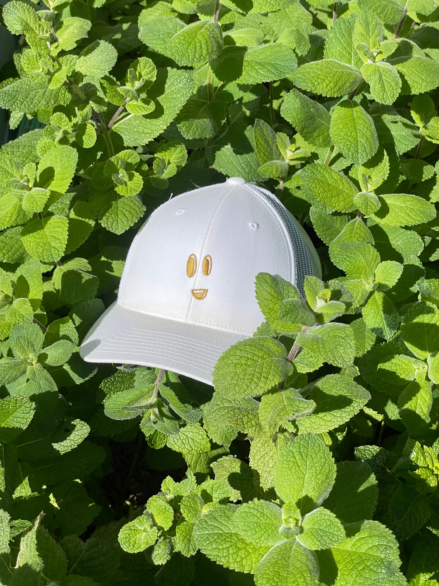 Ded Hollow Face Trucker Cap